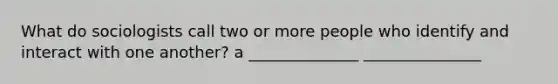 What do sociologists call two or more people who identify and interact with one another? a ______________ _______________