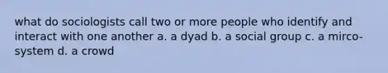 what do sociologists call two or more people who identify and interact with one another a. a dyad b. a social group c. a mirco-system d. a crowd