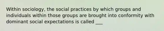 Within sociology, the social practices by which groups and individuals within those groups are brought into conformity with dominant social expectations is called ___