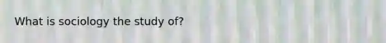 What is sociology the study of?