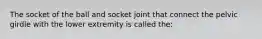 The socket of the ball and socket joint that connect the pelvic girdle with the lower extremity is called the: