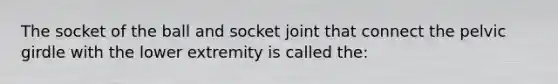 The socket of the ball and socket joint that connect the pelvic girdle with the lower extremity is called the: