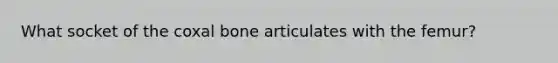 What socket of the coxal bone articulates with the femur?