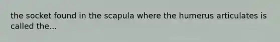 the socket found in the scapula where the humerus articulates is called the...