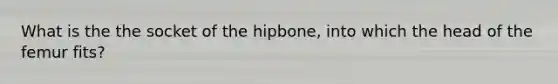 What is the the socket of the hipbone, into which the head of the femur fits?