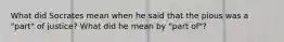 What did Socrates mean when he said that the pious was a "part" of justice? What did he mean by "part of"?