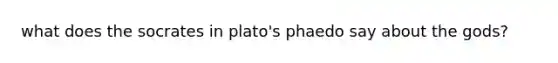 what does the socrates in plato's phaedo say about the gods?