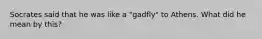 Socrates said that he was like a "gadfly" to Athens. What did he mean by this?