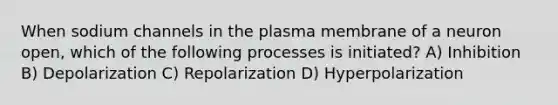 When sodium channels in the plasma membrane of a neuron open, which of the following processes is initiated? A) Inhibition B) Depolarization C) Repolarization D) Hyperpolarization