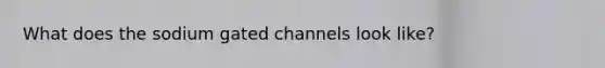 What does the sodium gated channels look like?