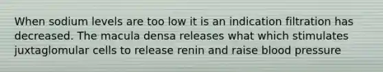 When sodium levels are too low it is an indication filtration has decreased. The macula densa releases what which stimulates juxtaglomular cells to release renin and raise blood pressure