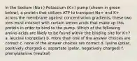 In the Sodium (Na+)-Potassium (K+) pump (shown in green below), a protein that utilizes ATP to transport Na+ and K+ across the membrane against concentration gradients, these two ions must interact with certain amino acids that make up this protein in order to bind to the pump. Which of the following amino acids are likely to be found within the binding site for K+? a. leucine (nonpolar) b. more than one of the answer choices are correct c. none of the answer choices are correct d. lysine (polar, positively charged) e. aspartate (polar, negatively charged) f. phenylalanine (neutral)