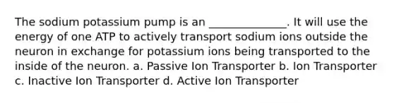 The sodium potassium pump is an ______________. It will use the energy of one ATP to actively transport sodium ions outside the neuron in exchange for potassium ions being transported to the inside of the neuron. a. Passive Ion Transporter b. Ion Transporter c. Inactive Ion Transporter d. Active Ion Transporter