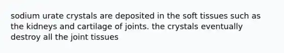 sodium urate crystals are deposited in the soft tissues such as the kidneys and cartilage of joints. the crystals eventually destroy all the joint tissues