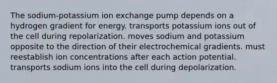 The sodium-potassium ion exchange pump depends on a hydrogen gradient for energy. transports potassium ions out of the cell during repolarization. moves sodium and potassium opposite to the direction of their electrochemical gradients. must reestablish ion concentrations after each action potential. transports sodium ions into the cell during depolarization.