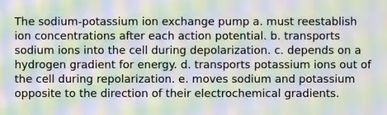 The sodium-potassium ion exchange pump a. must reestablish ion concentrations after each action potential. b. transports sodium ions into the cell during depolarization. c. depends on a hydrogen gradient for energy. d. transports potassium ions out of the cell during repolarization. e. moves sodium and potassium opposite to the direction of their electrochemical gradients.