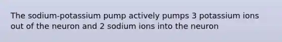 The sodium-potassium pump actively pumps 3 potassium ions out of the neuron and 2 sodium ions into the neuron