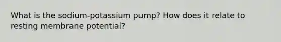 What is the sodium-potassium pump? How does it relate to resting membrane potential?