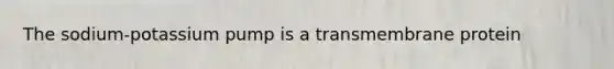 The sodium-potassium pump is a transmembrane protein