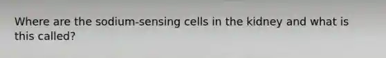 Where are the sodium-sensing cells in the kidney and what is this called?