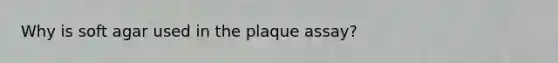 Why is soft agar used in the plaque assay?