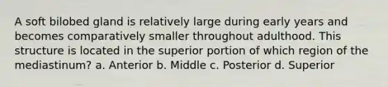 A soft bilobed gland is relatively large during early years and becomes comparatively smaller throughout adulthood. This structure is located in the superior portion of which region of the mediastinum? a. Anterior b. Middle c. Posterior d. Superior