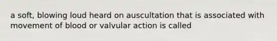 a soft, blowing loud heard on auscultation that is associated with movement of blood or valvular action is called