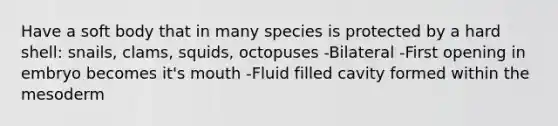 Have a soft body that in many species is protected by a hard shell: snails, clams, squids, octopuses -Bilateral -First opening in embryo becomes it's mouth -Fluid filled cavity formed within the mesoderm