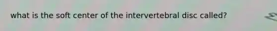what is the soft center of the intervertebral disc called?