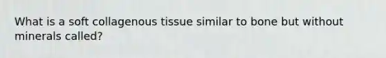 What is a soft collagenous tissue similar to bone but without minerals called?