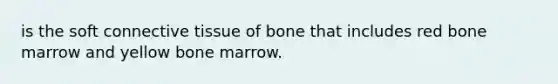 is the soft connective tissue of bone that includes red bone marrow and yellow bone marrow.