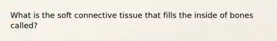 What is the soft connective tissue that fills the inside of bones called?