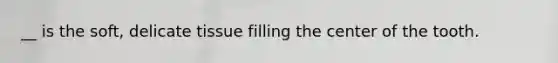 __ is the soft, delicate tissue filling the center of the tooth.