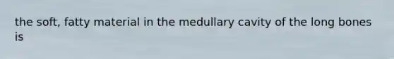 the soft, fatty material in the medullary cavity of the long bones is