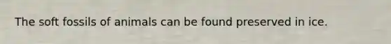 The soft fossils of animals can be found preserved in ice.