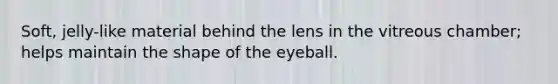 Soft, jelly-like material behind the lens in the vitreous chamber; helps maintain the shape of the eyeball.