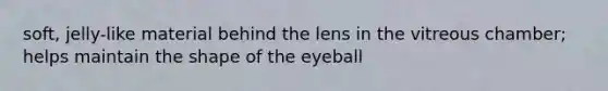 soft, jelly-like material behind the lens in the vitreous chamber; helps maintain the shape of the eyeball