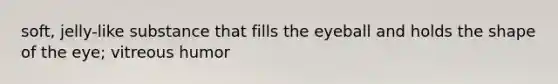 soft, jelly-like substance that fills the eyeball and holds the shape of the eye; vitreous humor