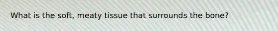 What is the soft, meaty tissue that surrounds the bone?