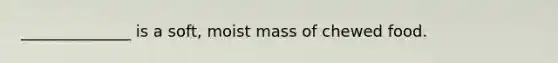 ______________ is a soft, moist mass of chewed food.