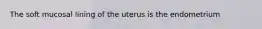 The soft mucosal lining of the uterus is the endometrium