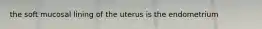 the soft mucosal lining of the uterus is the endometrium