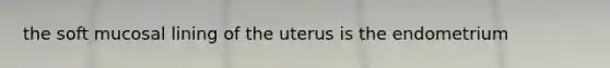 the soft mucosal lining of the uterus is the endometrium