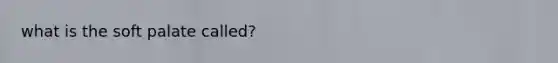what is the soft palate called?