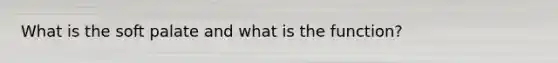 What is the soft palate and what is the function?