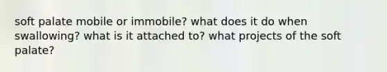 soft palate mobile or immobile? what does it do when swallowing? what is it attached to? what projects of the soft palate?