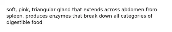 soft, pink, triangular gland that extends across abdomen from spleen. produces enzymes that break down all categories of digestible food