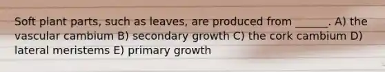 Soft plant parts, such as leaves, are produced from ______. A) the vascular cambium B) secondary growth C) the cork cambium D) lateral meristems E) primary growth