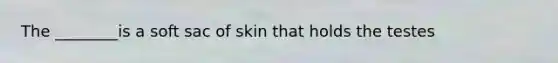 The ________is a soft sac of skin that holds the testes