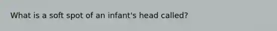 What is a soft spot of an infant's head called?